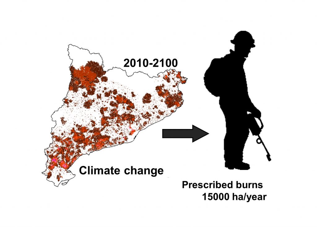 New article: Adapting prescribed burns to future climate change in Mediterranean landscapes
