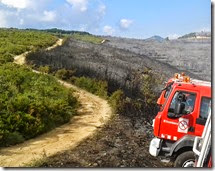 New article: Using Unplanned Fires to Help Suppressing Future Large Fires in Mediterranean Forests.