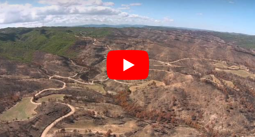 Wildfire seen from a drone