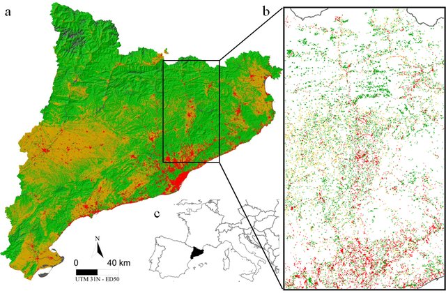 New PhD in town: Núria Aquilué, Models and the management of forest landscapes under global changes