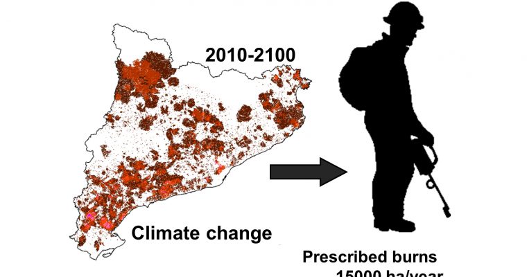 New article: Adapting prescribed burns to future climate change in Mediterranean landscapes