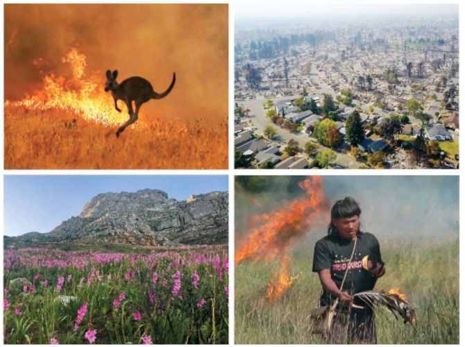 Fire and biodiversity in the Anthropocene