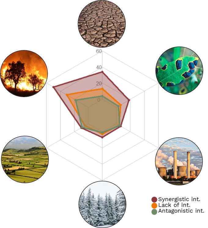 global-review-on-interactions-between-insect-pests-and-other-forest